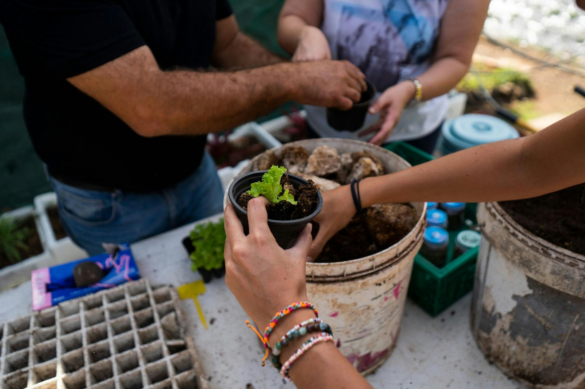 Nat Geo Day Tour: Sustainable Agriculture in Quinta Pedagogica da Camacha