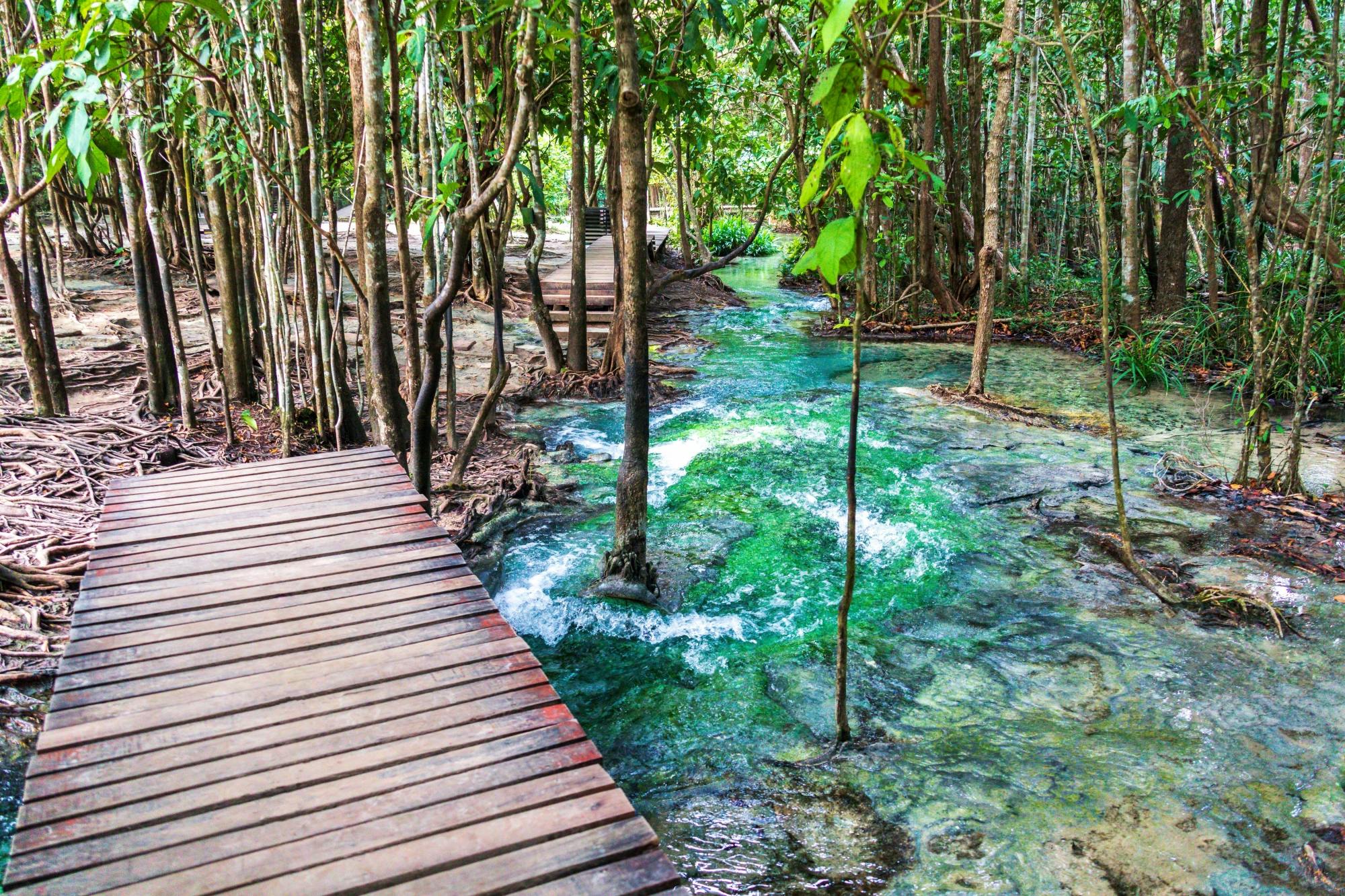 Visite de la jungle de krabi avec la source chaude et le temple de la Grotte du Tigre