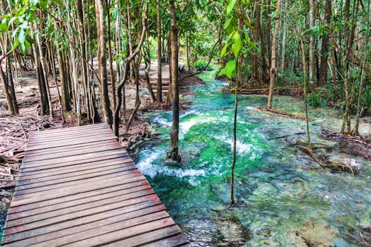 Visite de la jungle de krabi avec la source chaude et le temple de la Grotte du Tigre