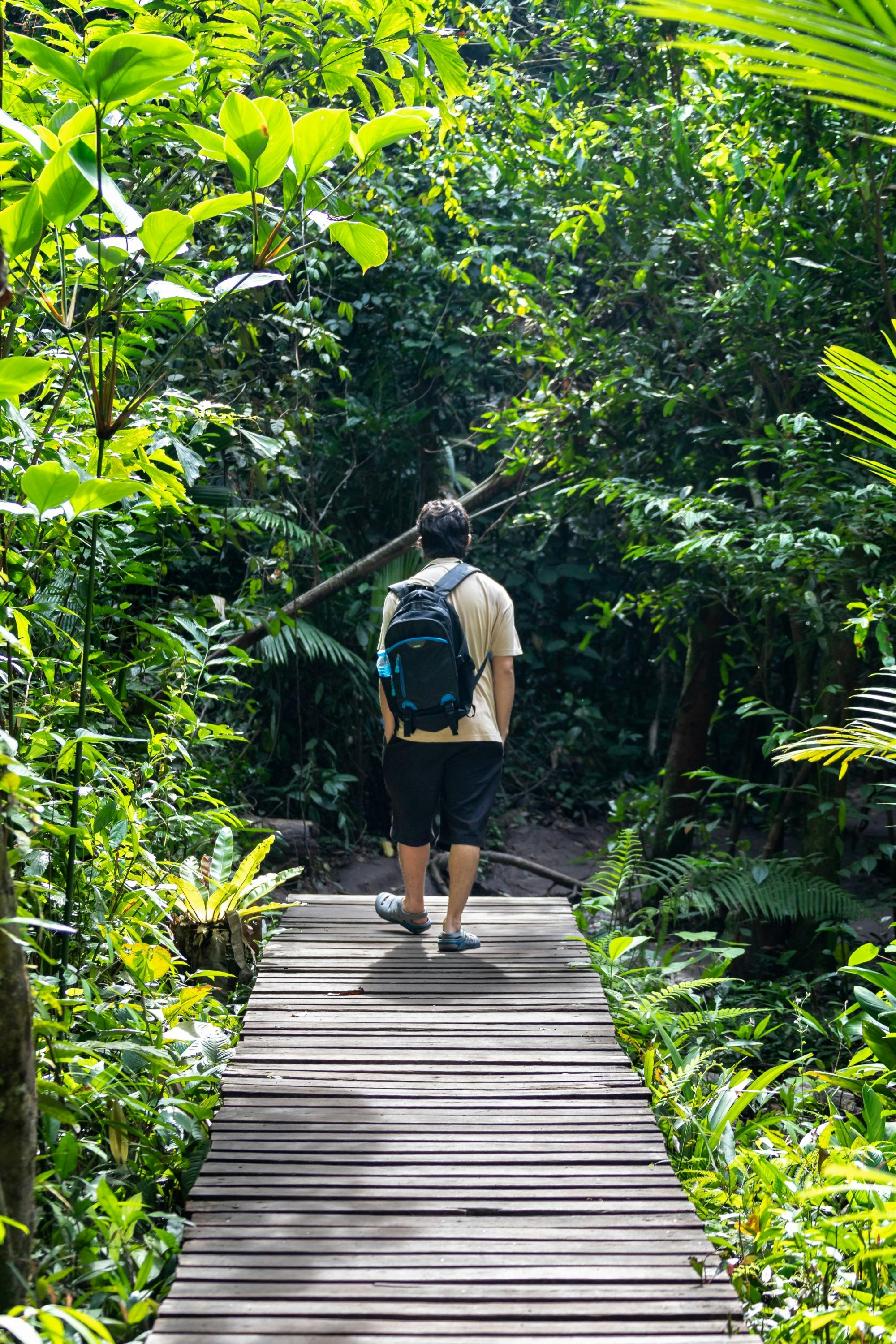 Krabi Jungle Tour with Hot Spring and Tiger Cave Temple