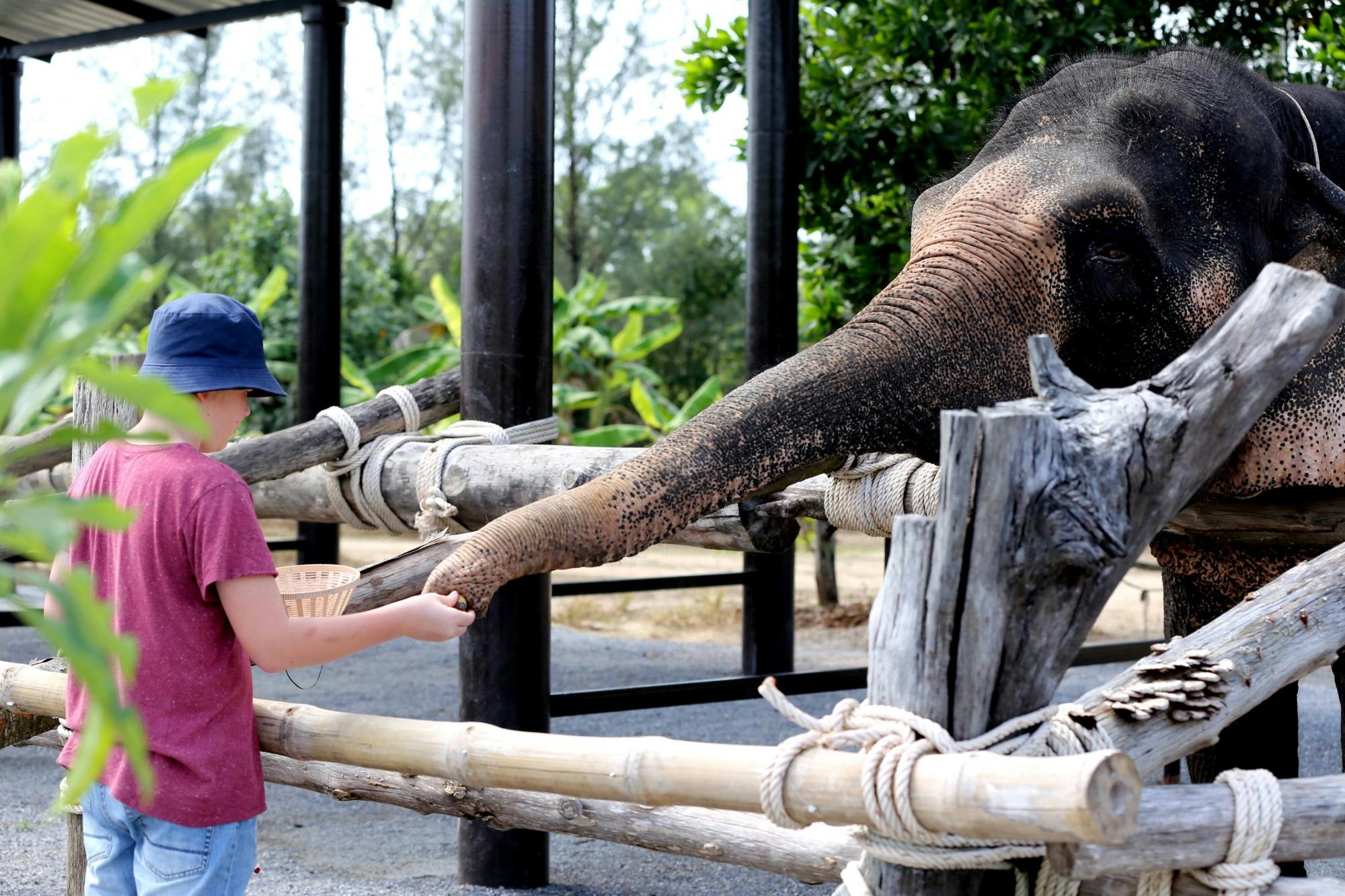 Khao Lak Highlights Tour with Buddhist Temple Blessing