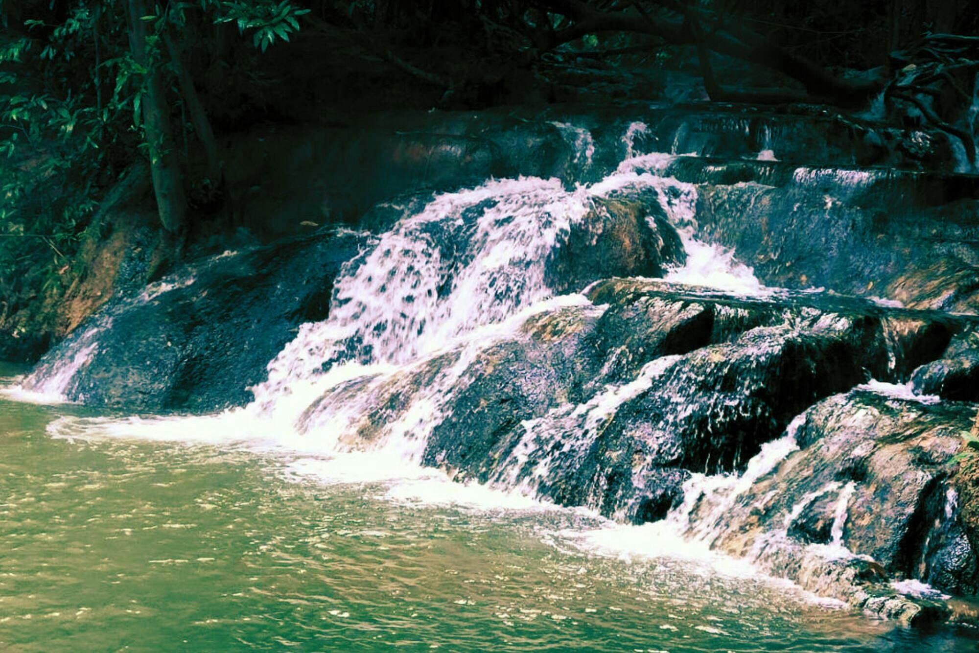 Jungle Tour with Tiger Temple from Ko Lanta