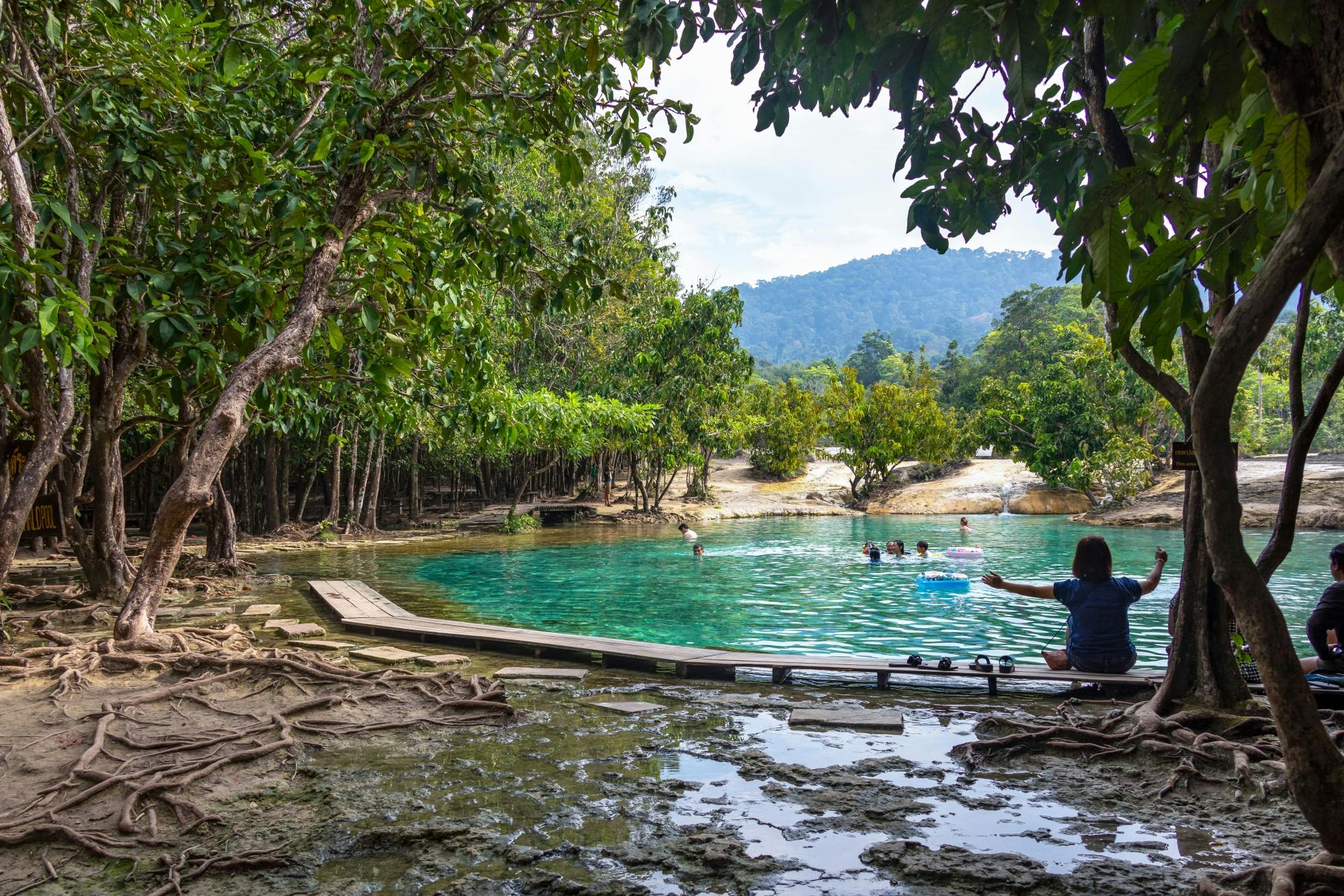 Jungle Tour with Tiger Temple from Ko Lanta