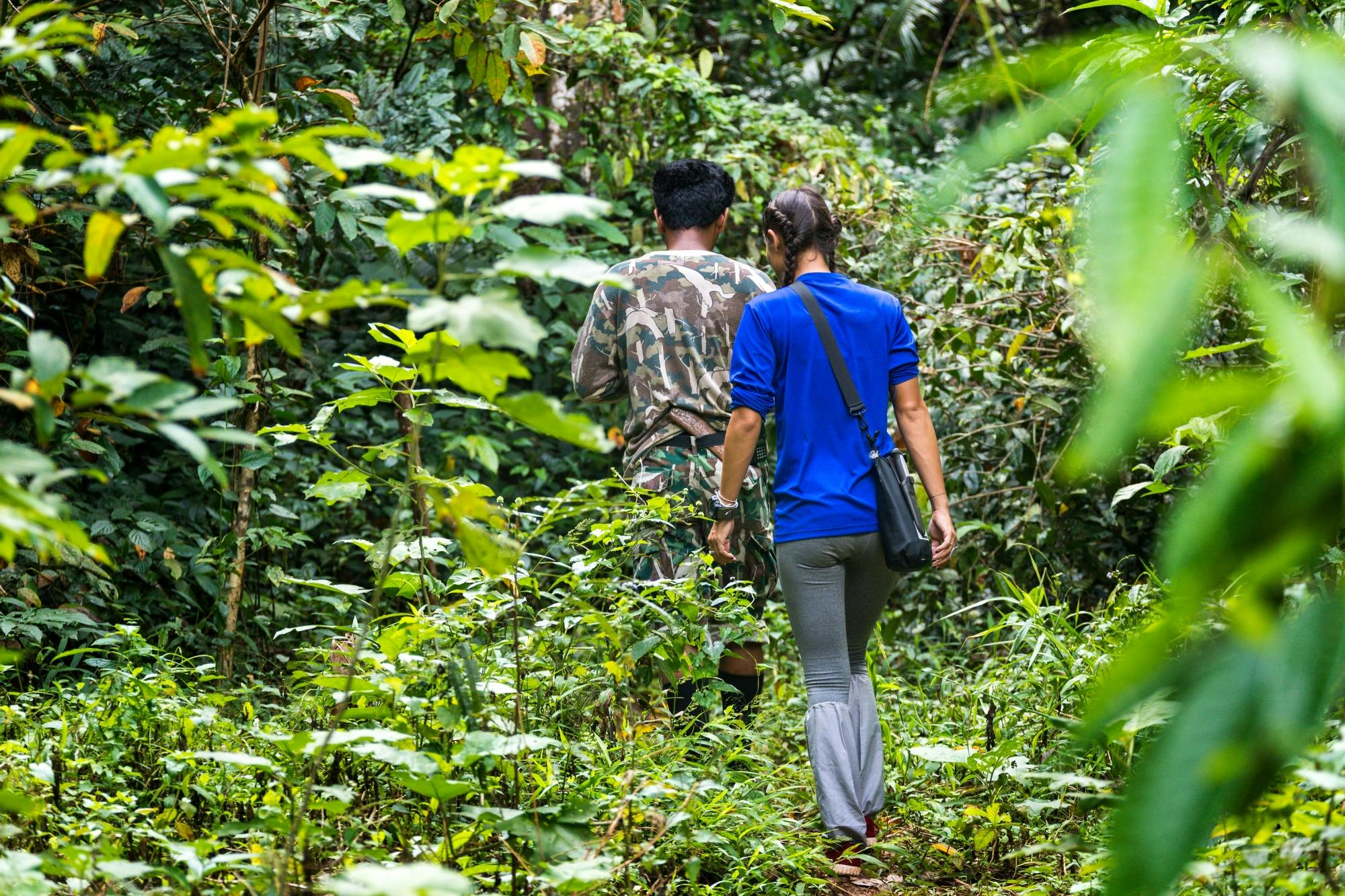 Khao Sok National Park with Long-tail Boat Cruise From Khao Lak