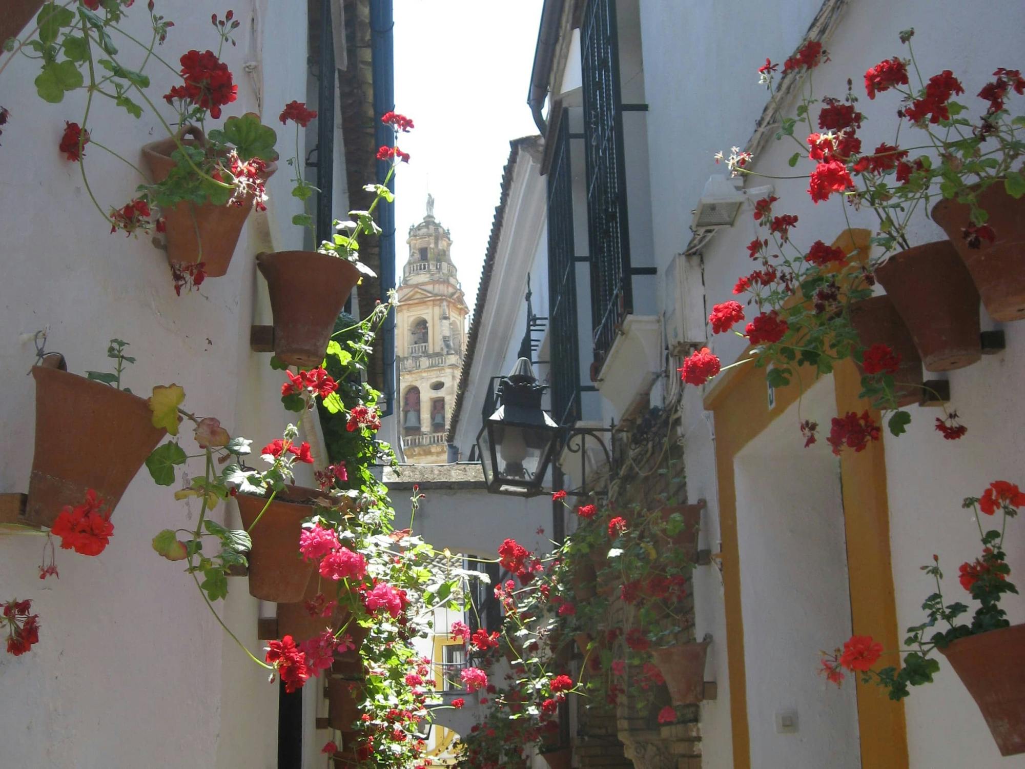 Cordoba Guided Tour