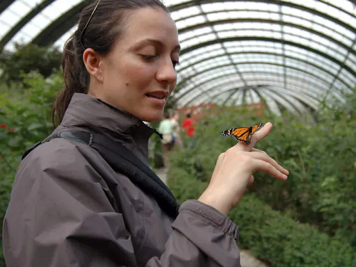 Two-day Monteverde and Arenal Volcano Explorer Tour