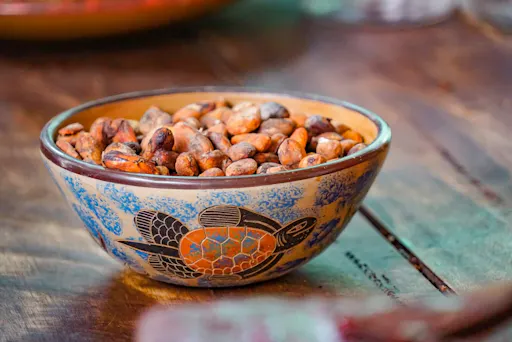 Two-day Monteverde and Arenal Volcano Explorer Tour