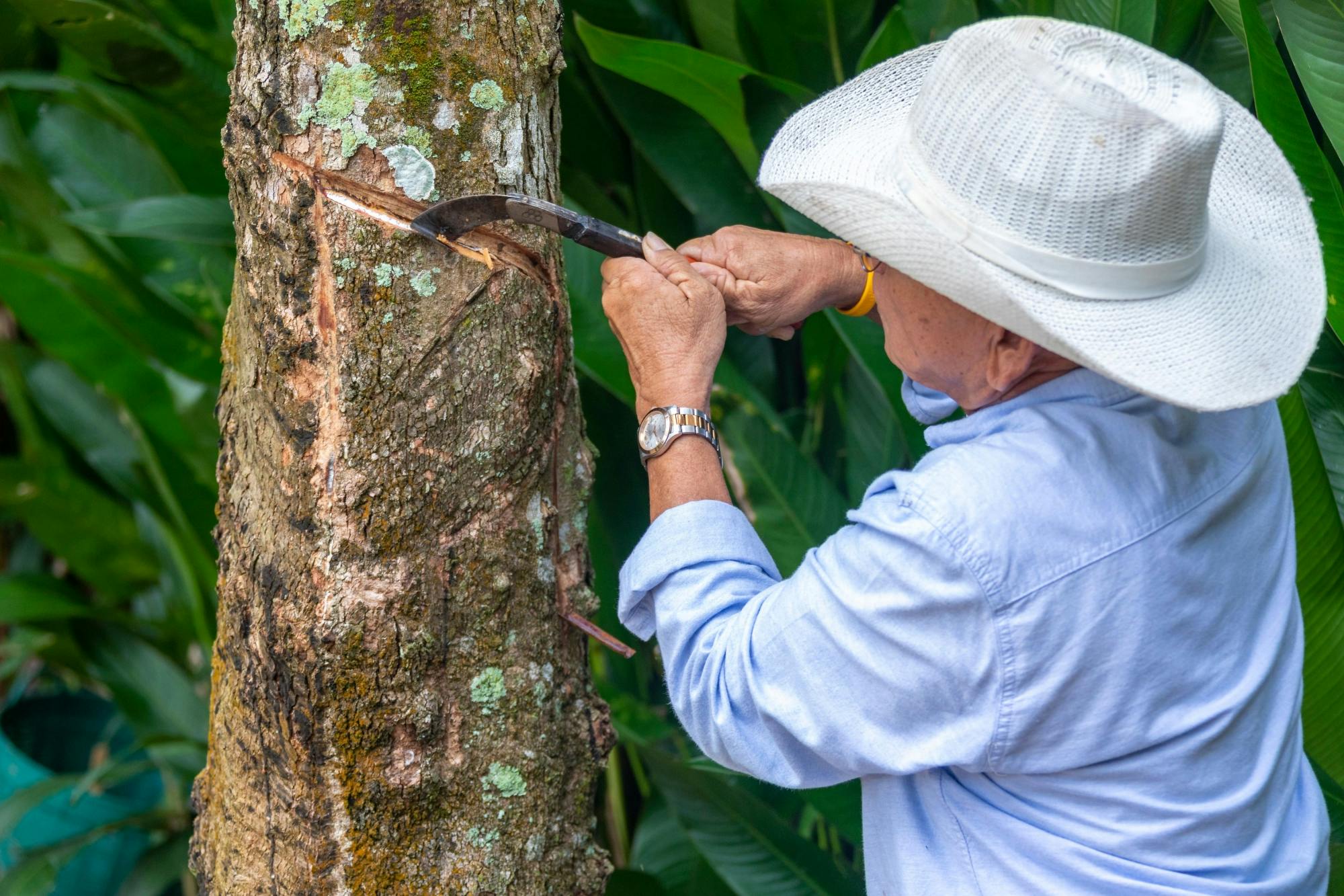 Phuket Sightseeing Tour with a Local Guide and Lunch