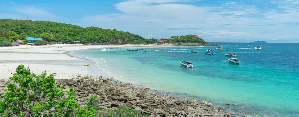 Pattaya Panoramic and Coral Island by Speedboat from Bangkok