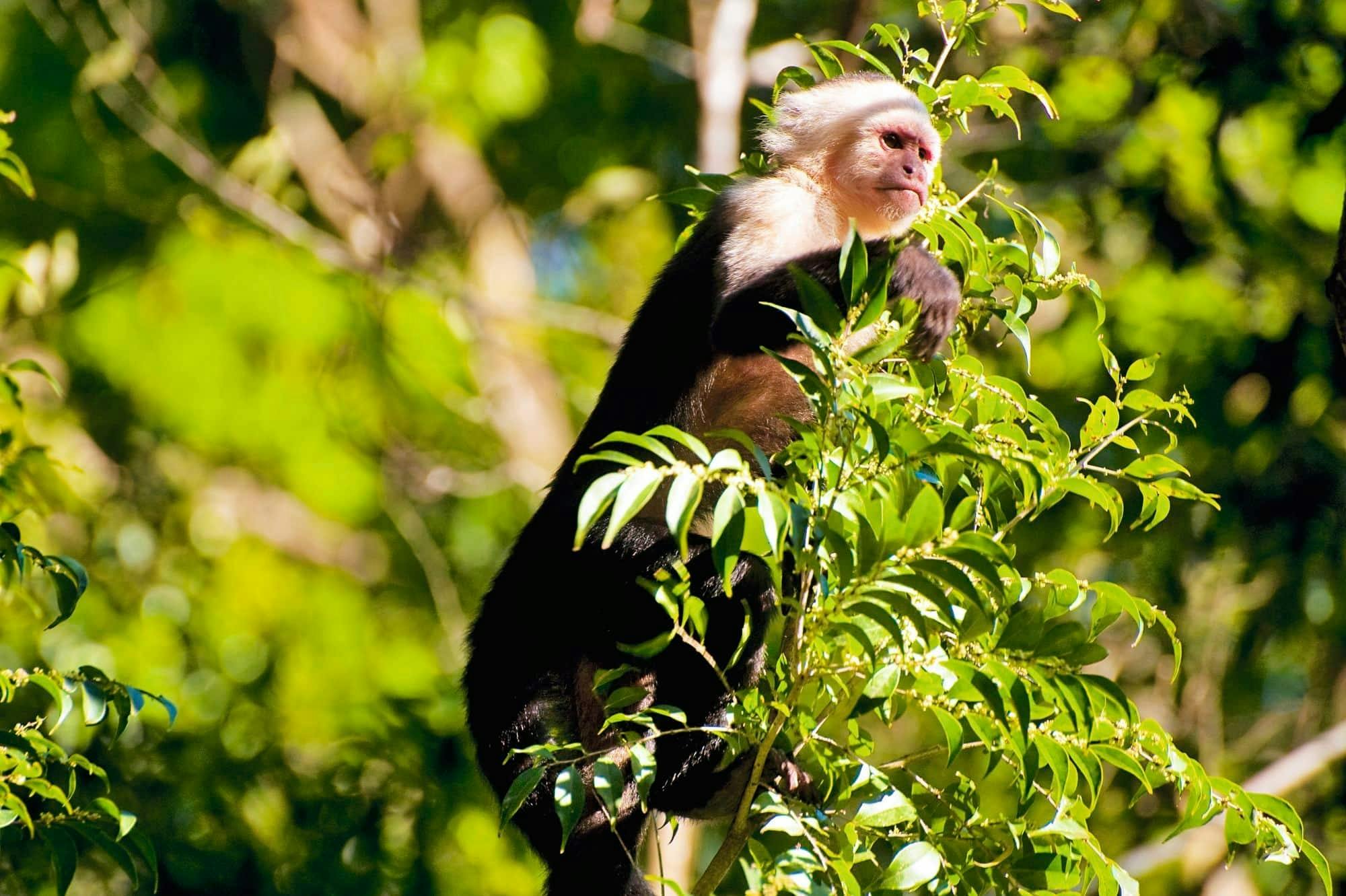 Rum Estate & Ecological Boat Tour