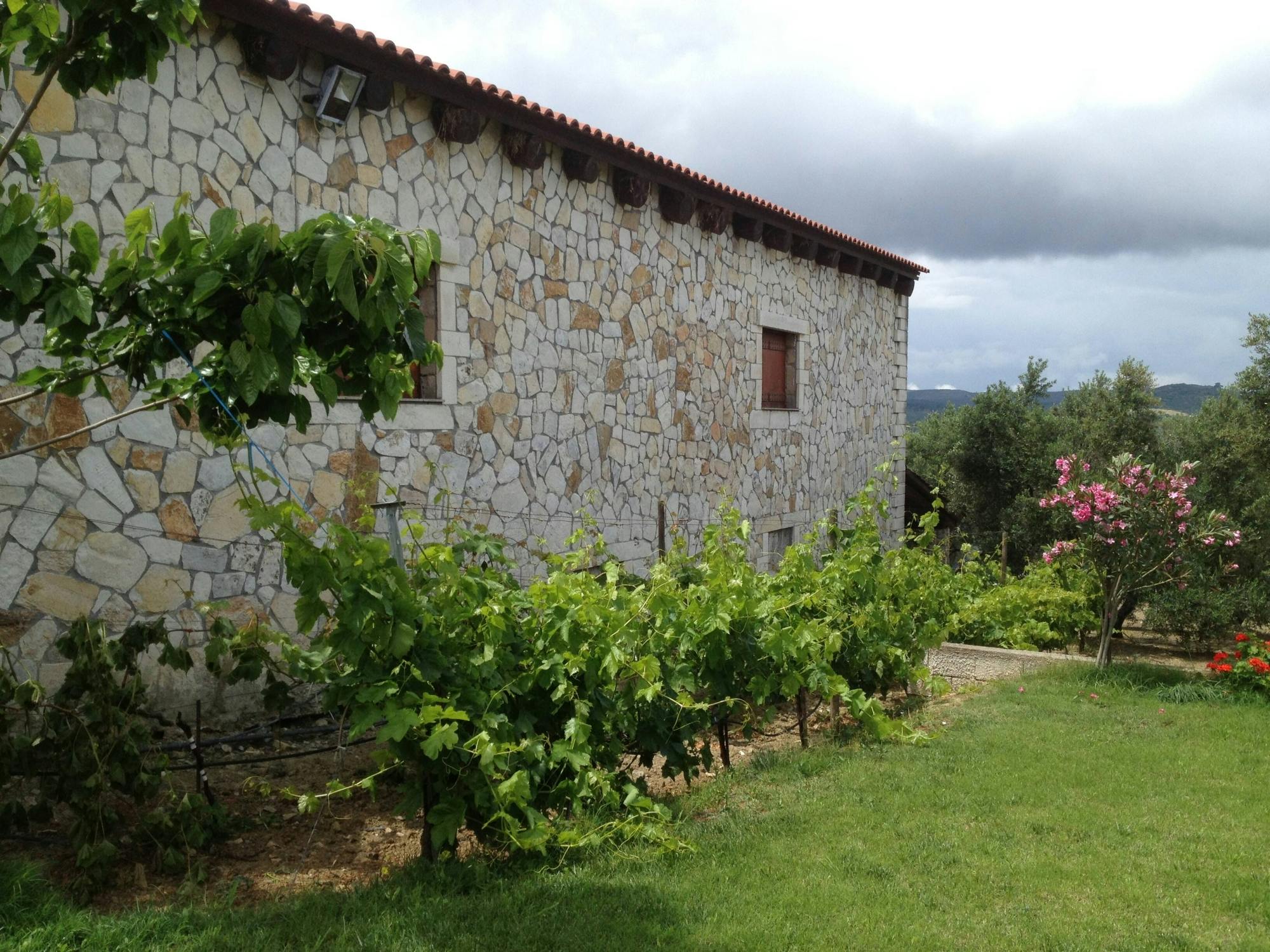 Cata de vinos de día completo y aventura en 4x4 en Creta