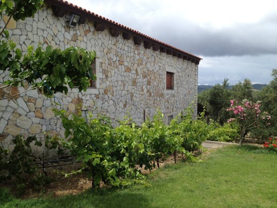 Degustazione di vini a Creta di un'intera giornata ed esperienza in fuoristrada 4x4