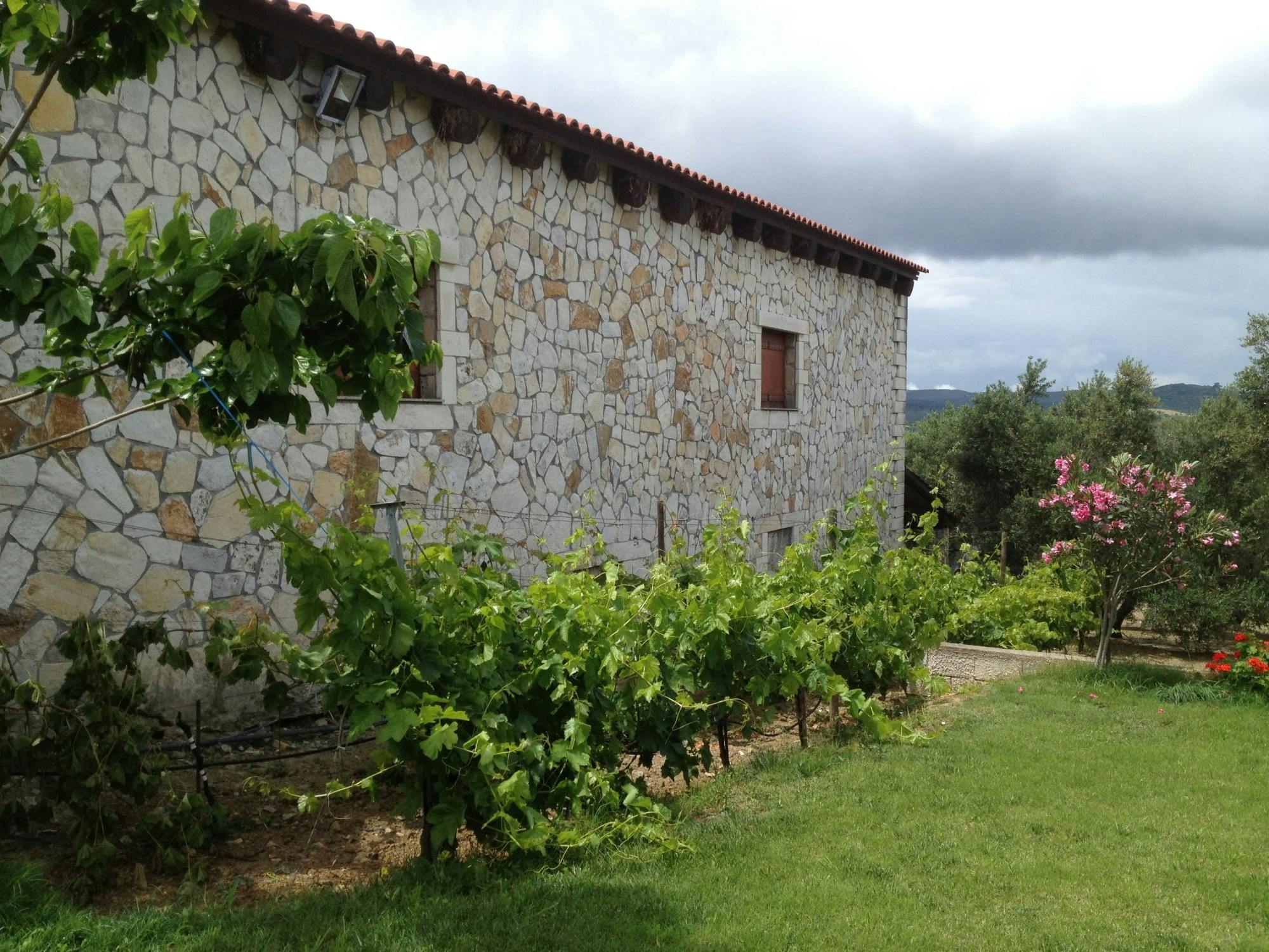 Degustação de vinhos de dia inteiro e aventura 4x4 em Creta