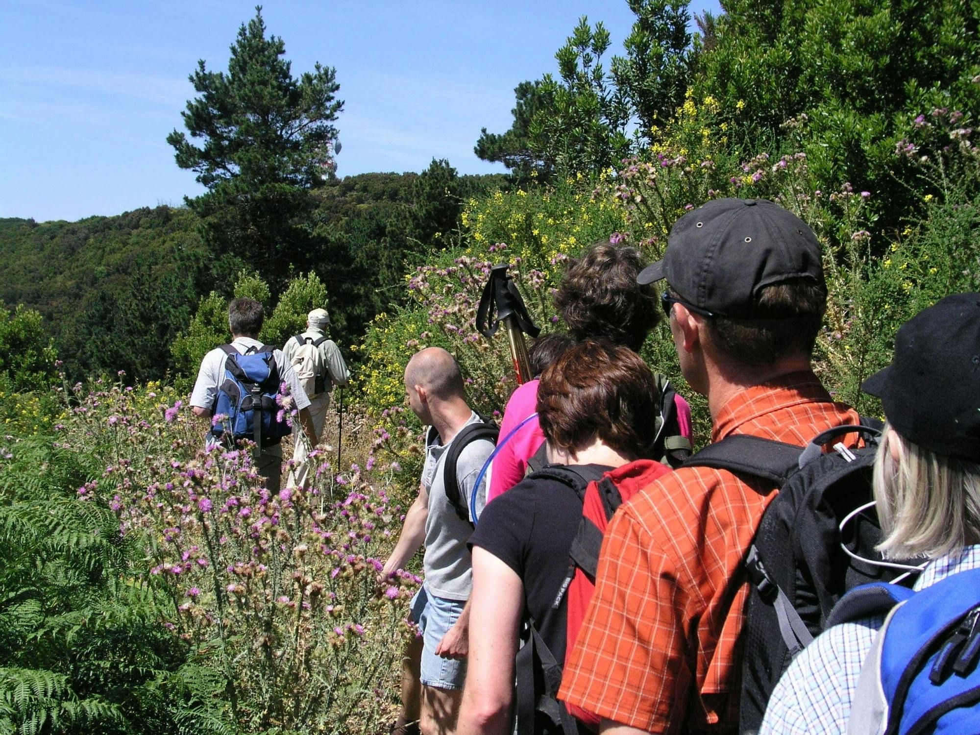 Hike to La Fortaleza