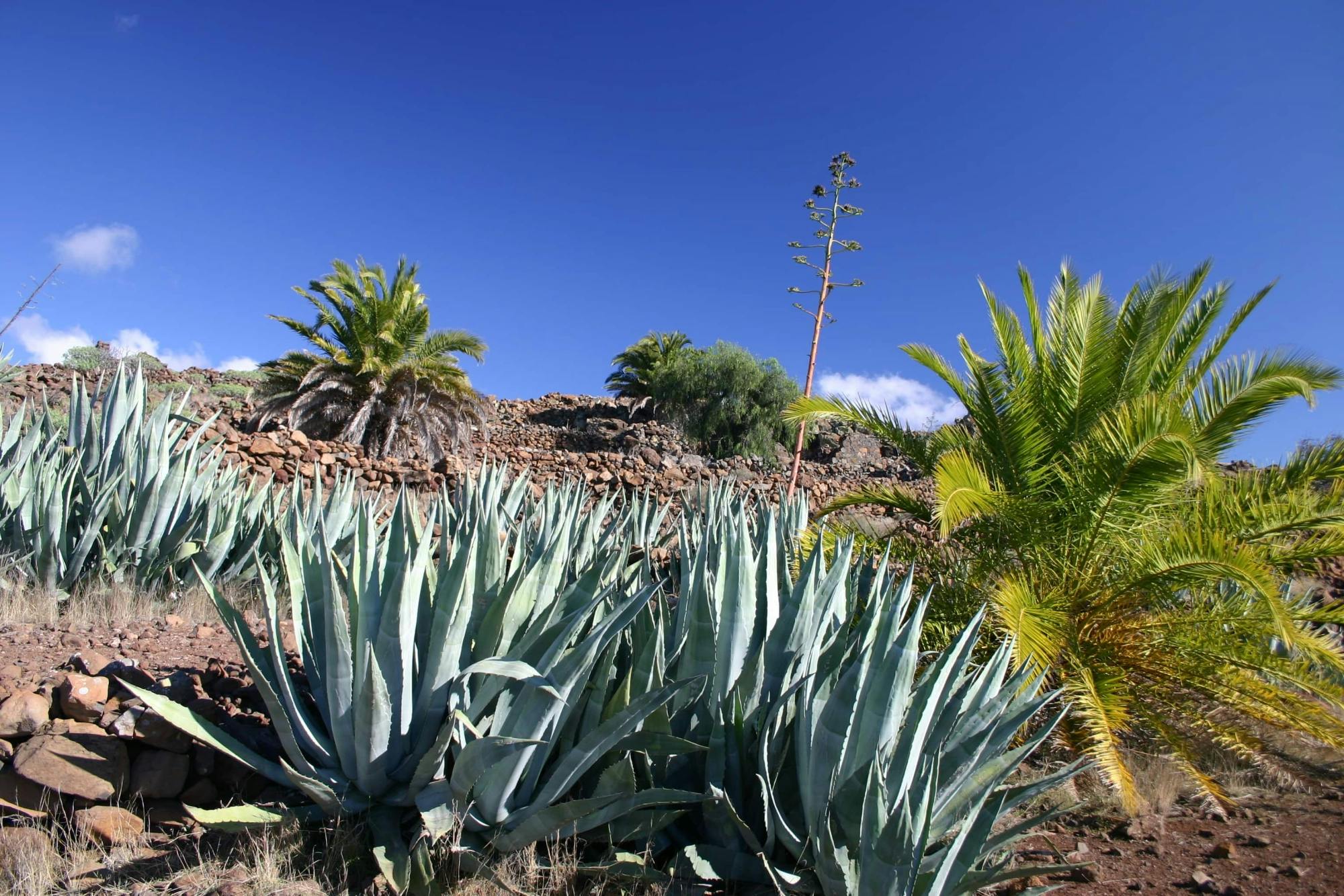 Hike to La Fortaleza