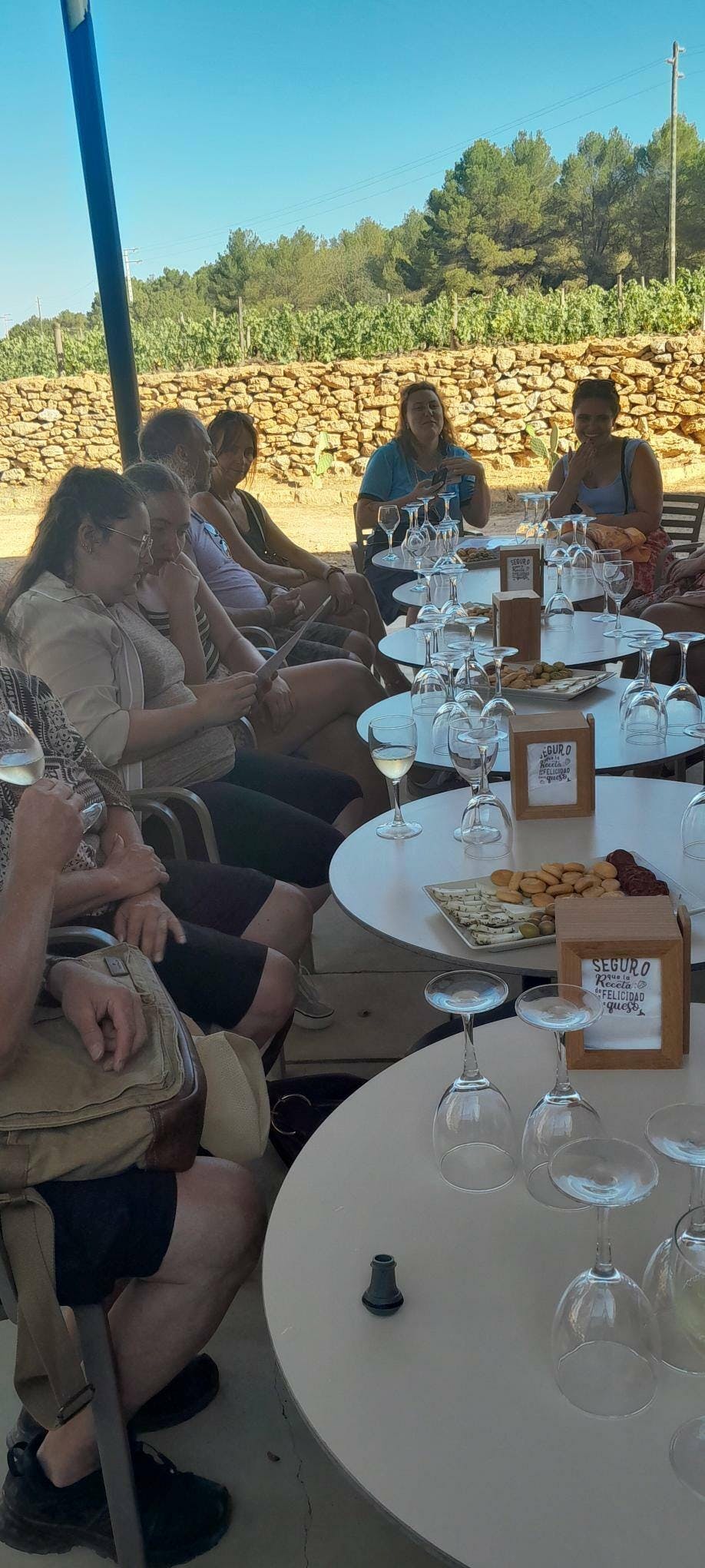 Formentera Island Tour with Winery Visit and Tasting