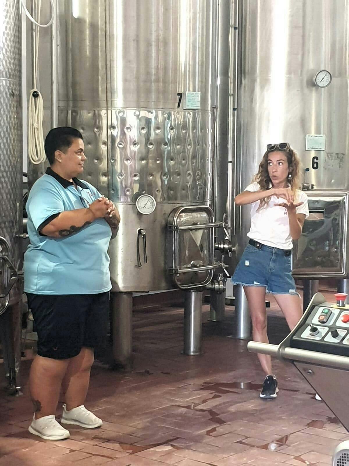 Formentera Island Tour with Winery Visit and Tasting