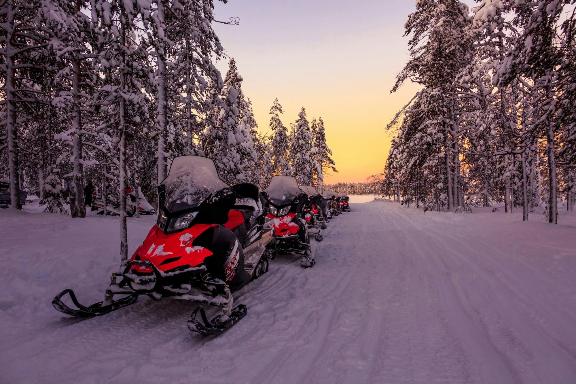 Family Snowmobile Safari to Elves Cabin