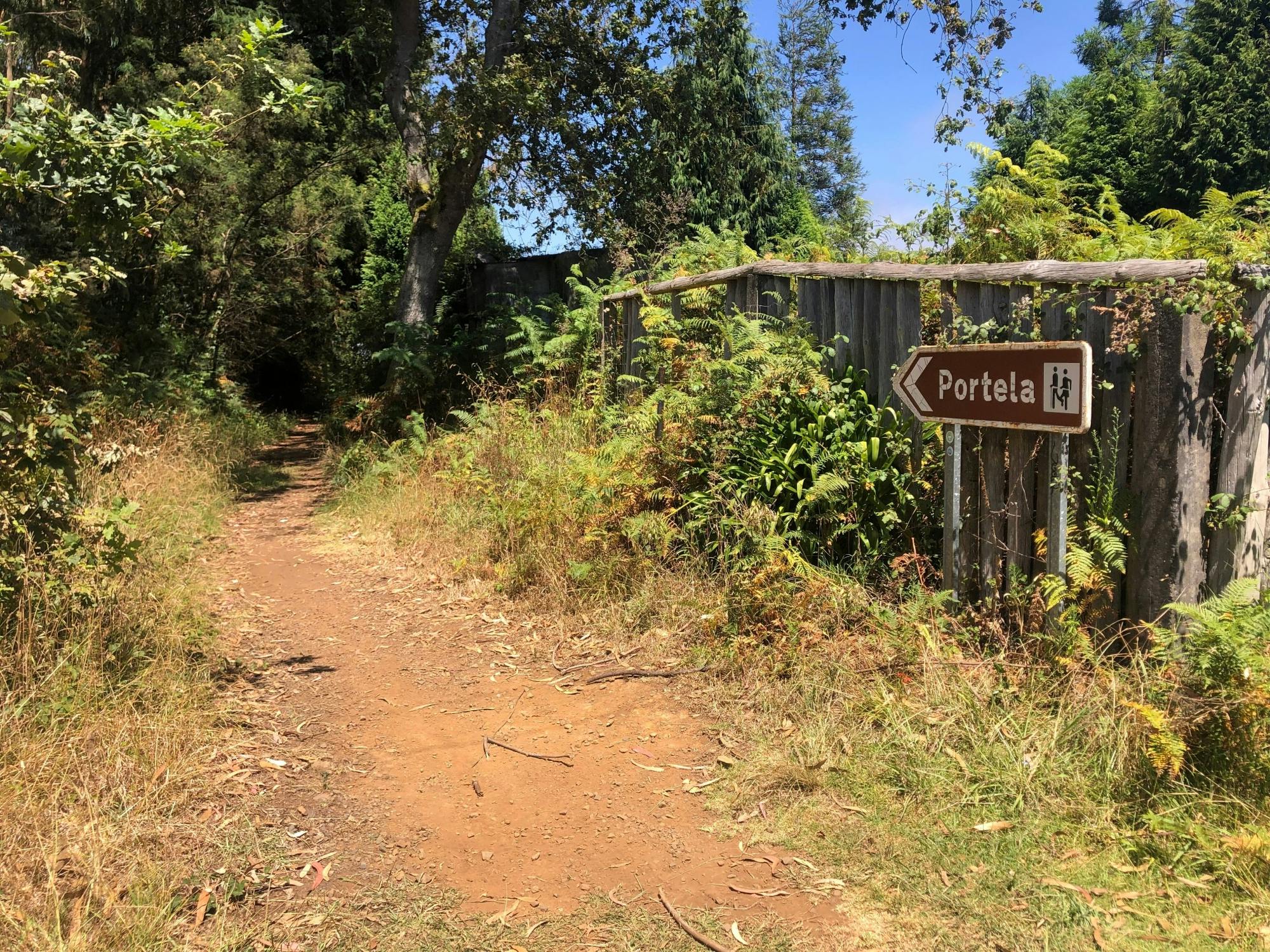 Caminata guiada tranquila y pintoresca desde Santo da Serra hasta Portela