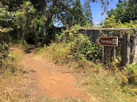Escursione guidata lungo la Levada Serra do Faial