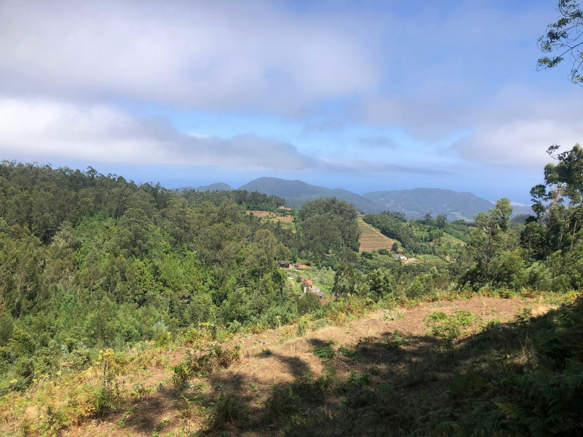 Gentle, scenic guided hike from Santo da Serra to Portela