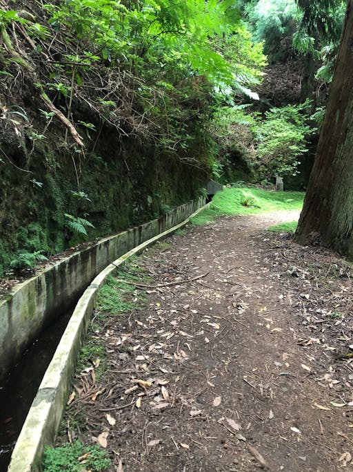 Gentle, scenic guided hike from Santo da Serra to Portela