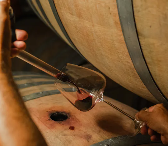 Backstage Brunello and Gourmet Wine-Food Tasting in Montalcino