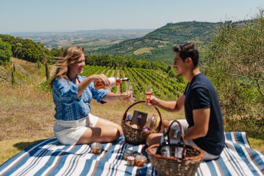 Pique-nique avec une bouteille de vin à Montalcino avec visite des vins en option