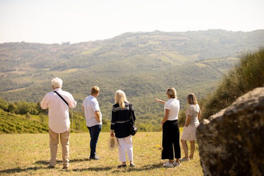 Tour guiado de vinos con degustación en Montalcino