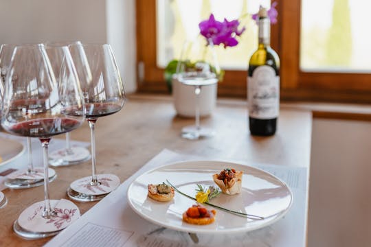 Degustação gourmet de vinhos e comidas em Montalcino