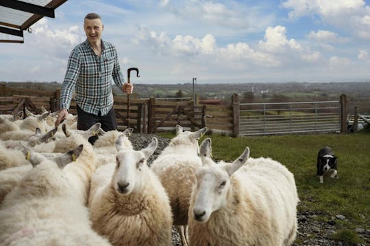 Wicklow and Glendalough Tour with Sheepdog Demonstration from Dublin