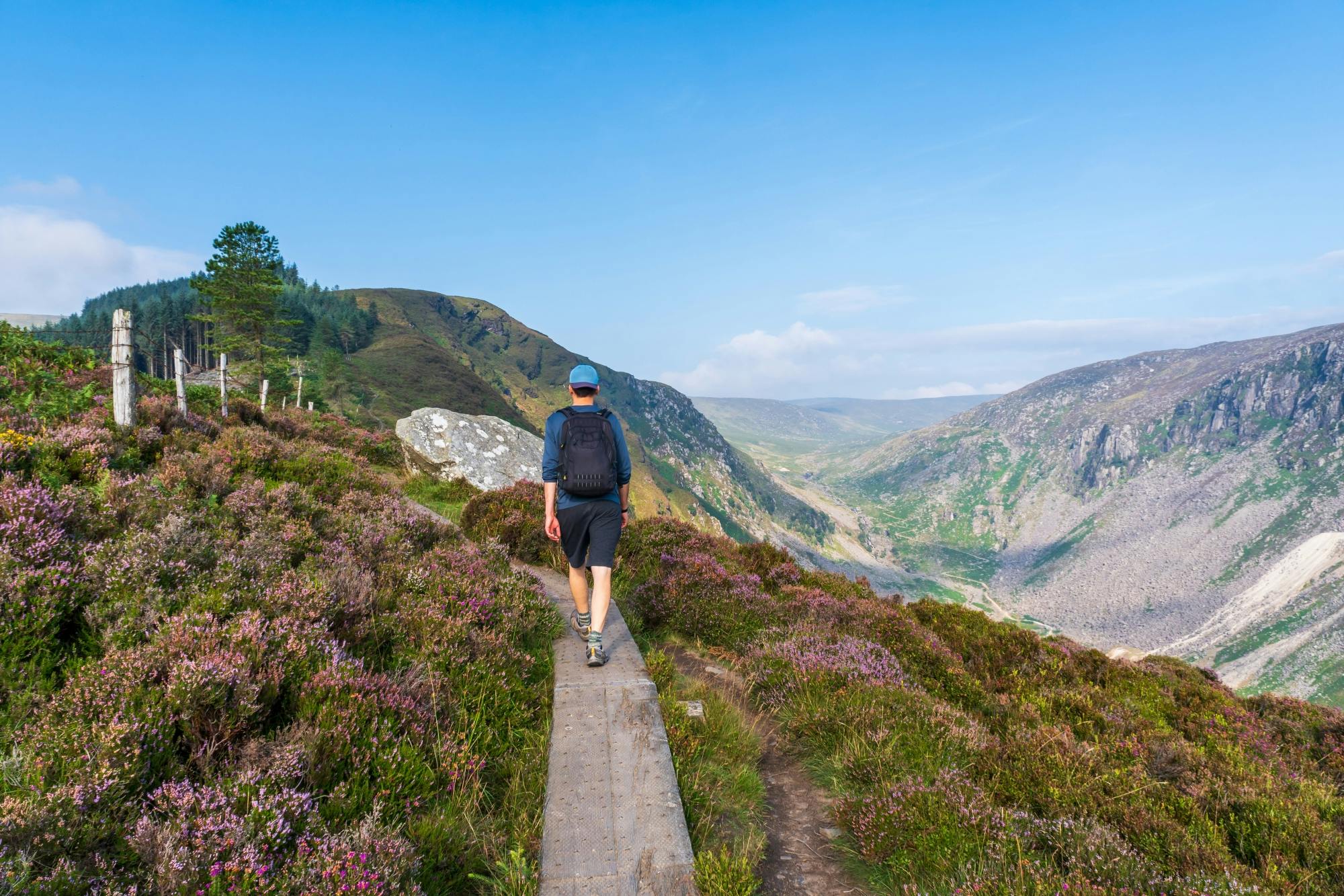 Visite des montagnes de Wicklow en italien