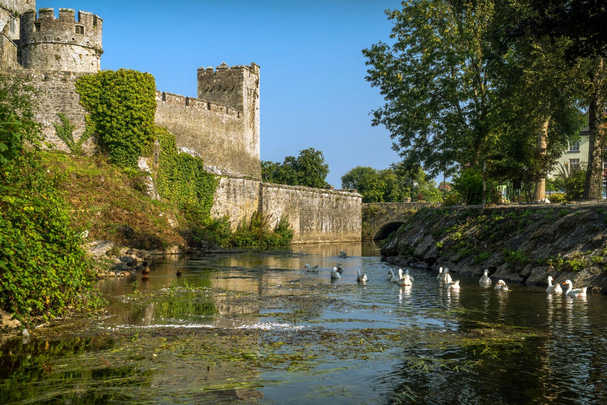 Blarney, Rock of Cashel and Cahir Castles Tour from Dublin