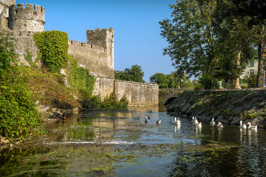 Blarney, Rock of Cashel und Cahir Castles Tour ab Dublin