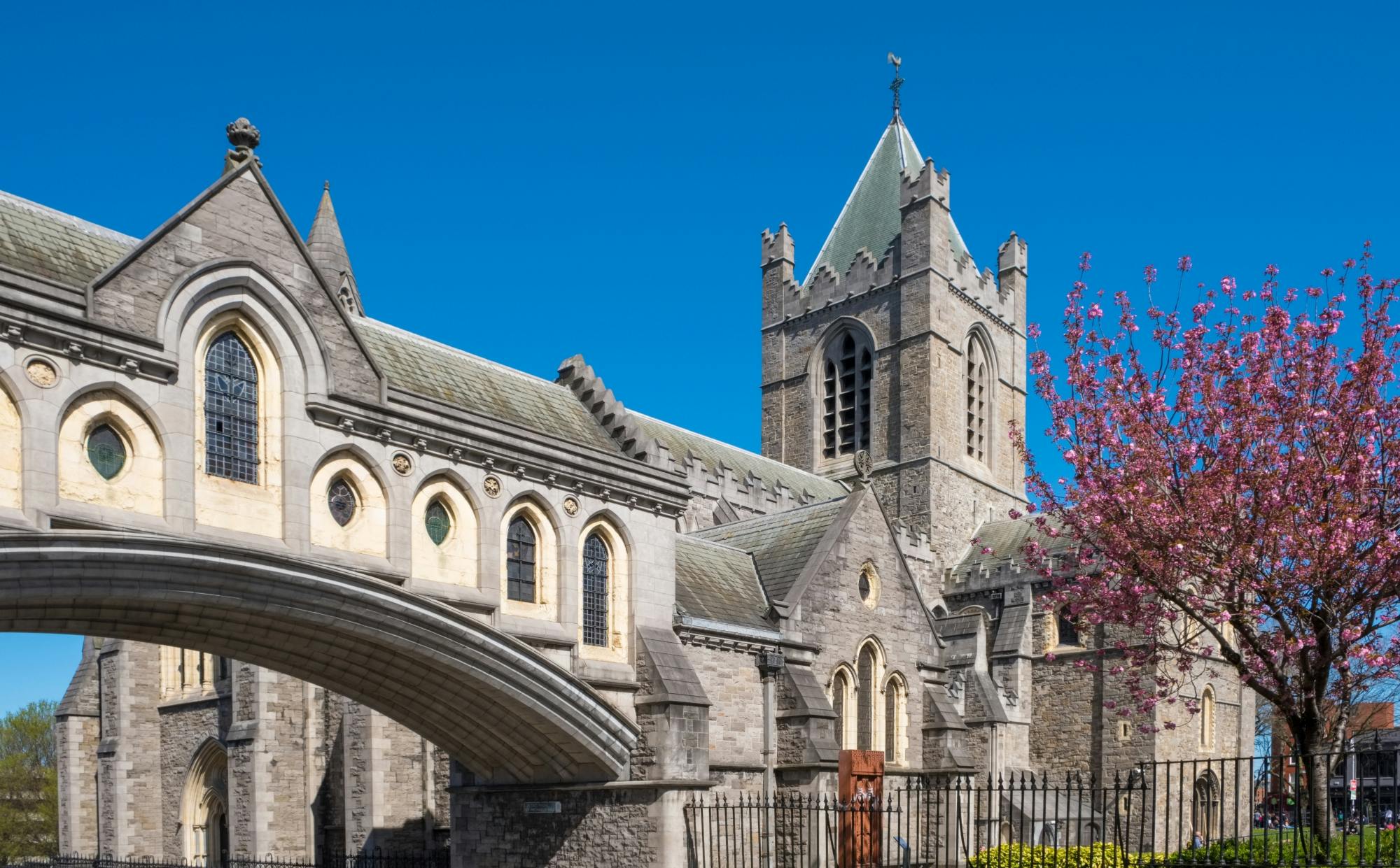 Dublin Christ Church Cathedral entrance ticket and self-guided tour