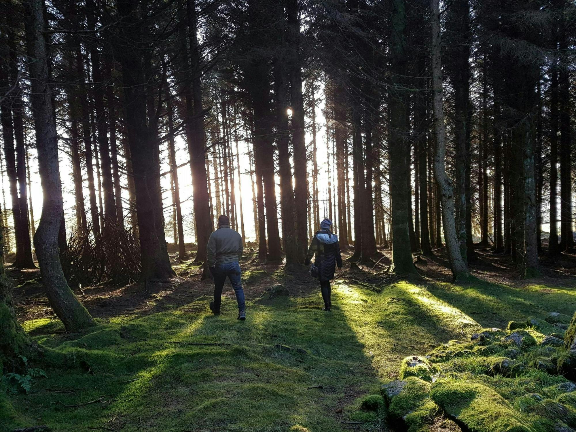 Trails and Tombs tour in the Dublin mountains