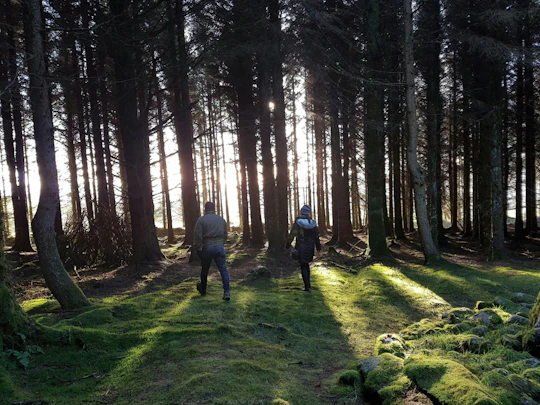 Trails and Tombs tour in the Dublin mountains