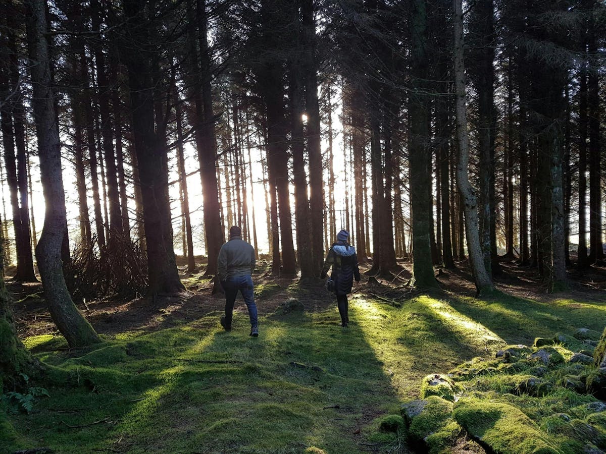 Trails and Tombs-tour in de bergen van Dublin