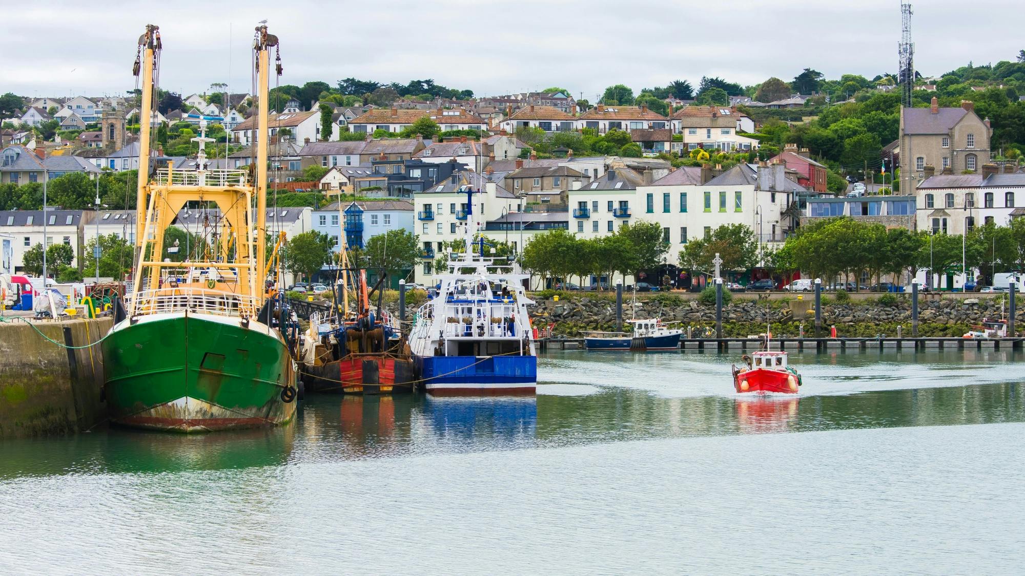 Shore Excursion of Howth and Dublin's City Centre