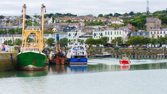 Escursione a terra di Howth e del centro di Dublino