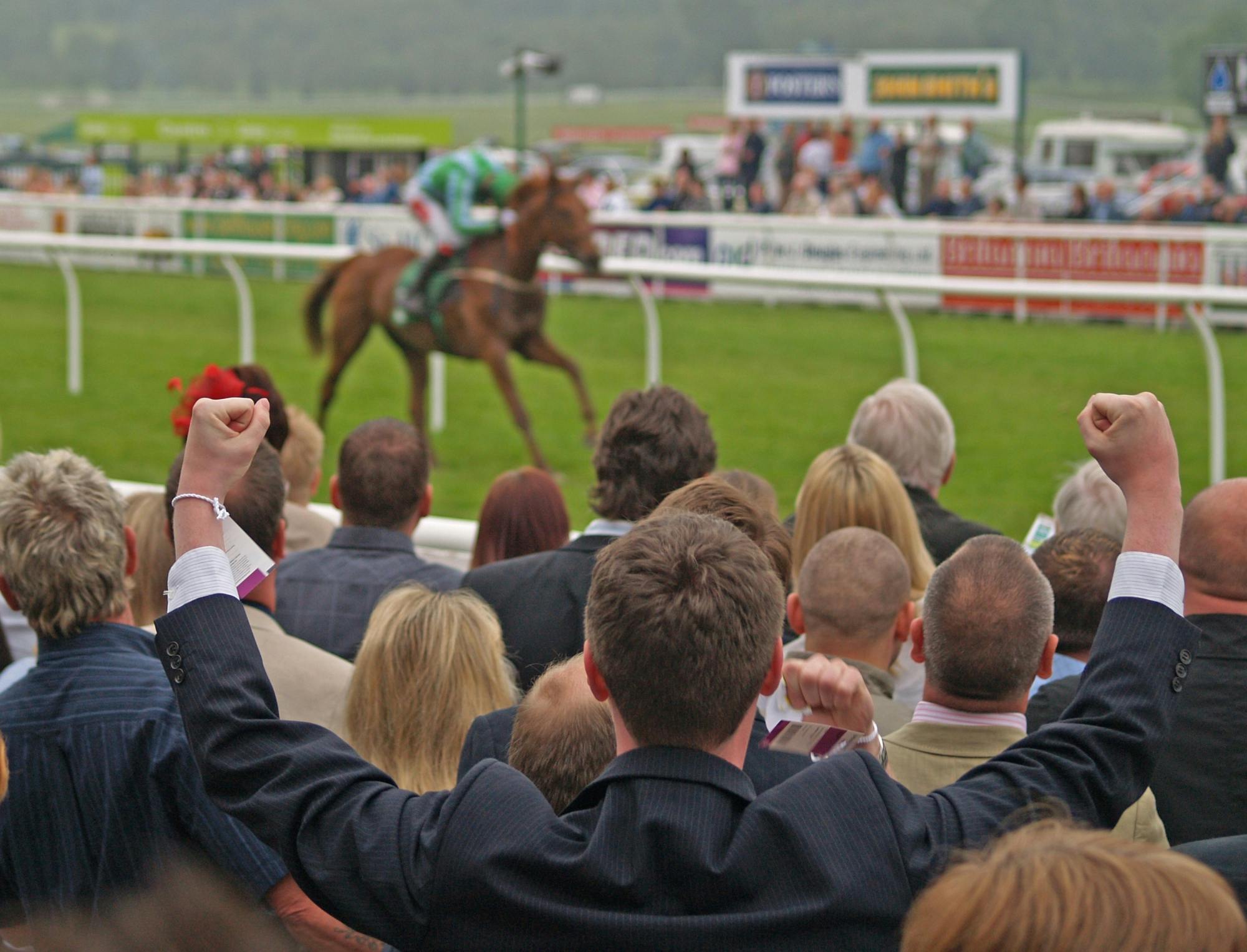 Hesteveddeløp i Hippodromen