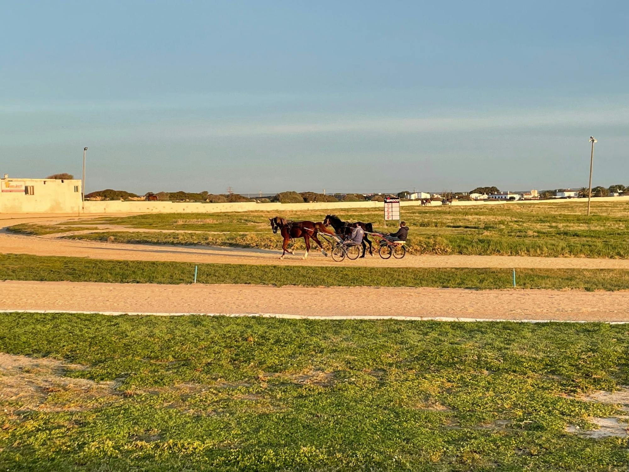 Hippodrome Torre del Ram Horse Racing Ticket