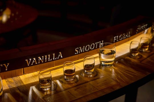 Prywatna wycieczka po Dublinie, degustacja whisky i piwa