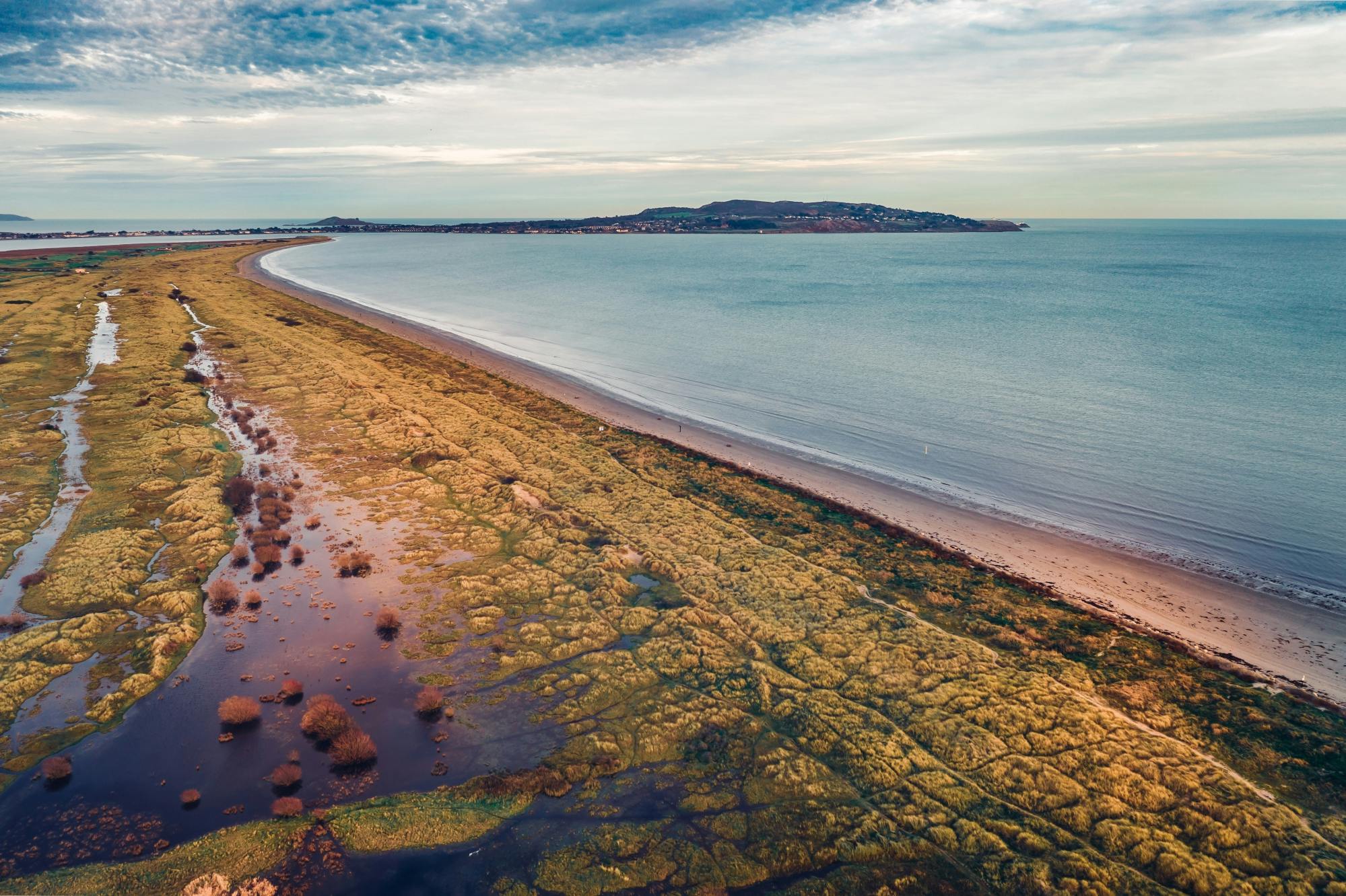 Dublin Bull Island guided walking tour