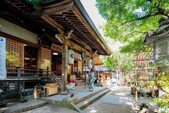 Kyushu Highlights Day Tour Dazaifu, Ruriko-ji Temple, Yufuin Town