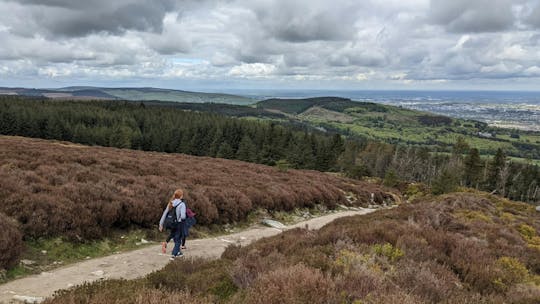 Dublin tall tales and treetop trails full-day tour