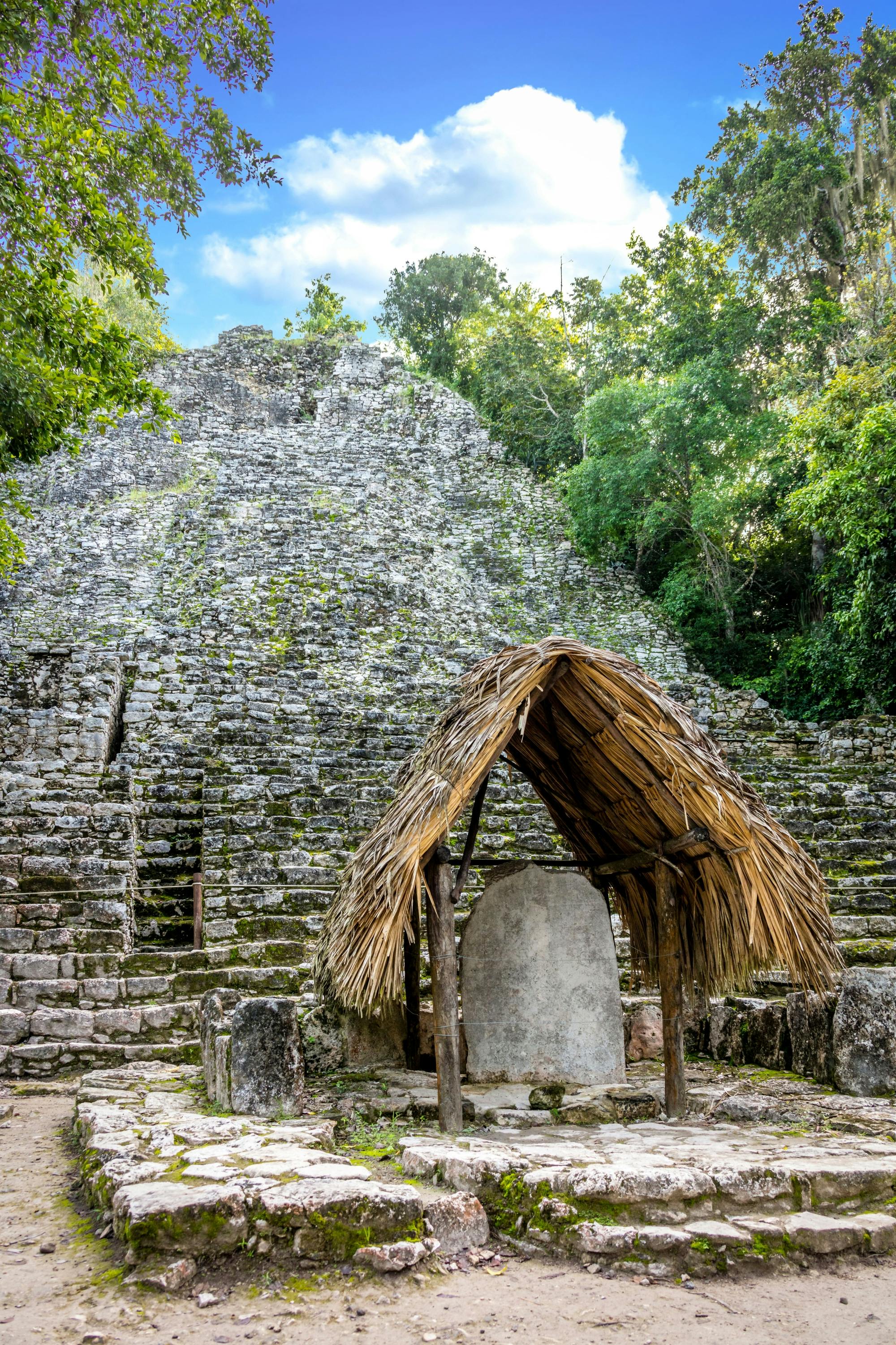 Coba Maya Ruins Tour with Lunch and Cenote Swim