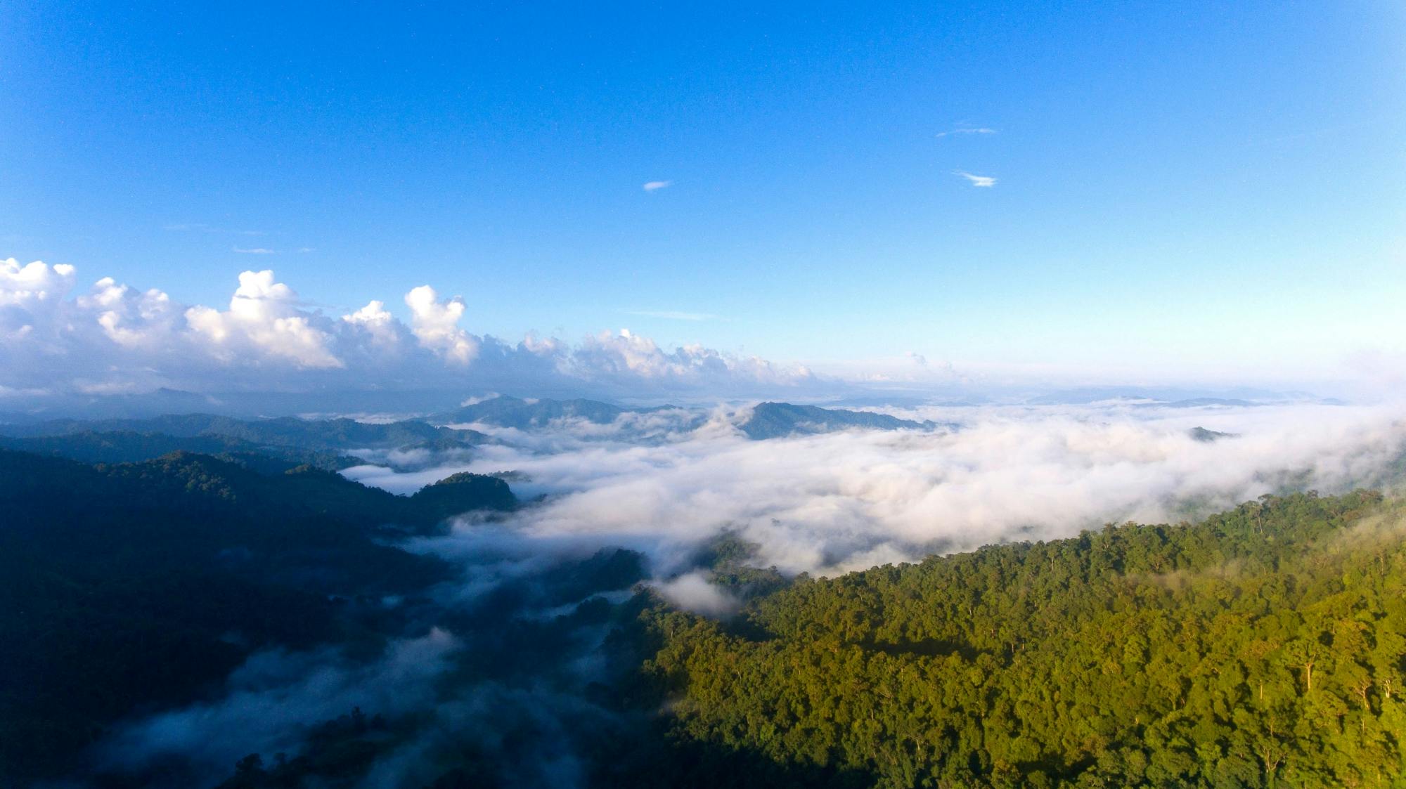 Khao Sok Eco Tour with Elephant Sanctuary Visit