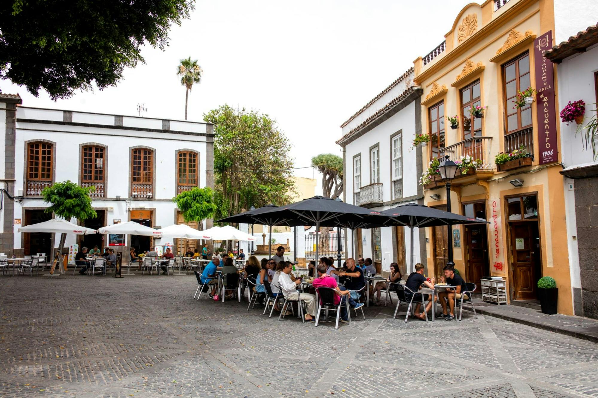 Gran Canaria Small Group Island Tour with Local Lunch