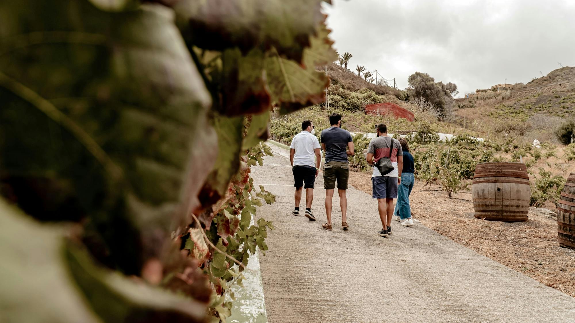 Gran Canaria Small Group Island Tour with Local Lunch